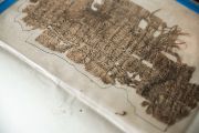 Orientální ústav AV ČR má ve své sbírce na 1500 kusů starobylých koptských papyrů. Nejstarší pocházejí z řeckého ptolemaiovského období starého Egypta (od třetího století před naším letopočtem). Papyry čekají na řádný popis, ústav proto plánuje společný projekt s odborníky z centra manuskriptů v Hamburku.