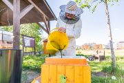 Chlorellu je vhodné podávat včelstvům na začátku jara a na konci léta. Uměle vytvořeným oddělkům pak po celý rok.