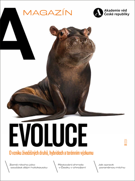 A hippo-seal hybrid on the cover of the quarterly A / Magazine, Evolution issue