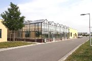 170112_gen rostlin5