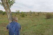 Milovice_IMG_0470