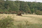 Milovice_IMG_0562