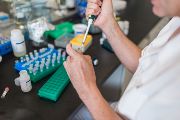 Ústav experimentální botaniky_Pavlína Jáchimová (1)