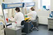 Dalším pracovištěm, které získalo povolení k testování vzorků na přítomnost koronaviru, je Ústav molekulární genetiky AV ČR v pražské Krči. V budově „V“ (nazývané také kůlna) se během dvou týdnů přeměnilo několik laboratoří na BSL2+ laboratoře, kde lze provádět covid-19 testování.
