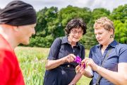 Na návštěvníky, kteří do botanické zahrady zavítají, čekají unikátní sbírky kosatců, růží, denivek a pivoněk. Komentované prohlídky se ujala Markéta Macháčková z oddělení genofondových sbírek.   