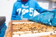 Včelař Aleš Mikšátko dopřává hmyzu dostatek prostoru a podněcuje jej ke stavbě nového díla vkládáním mezistěn. Snižuje tím možnost vyrojení včel, což je důležité s ohledem na velký výskyt lidí v okolí. 