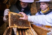 „Je vždy oboustranně obohacující, když otec a syn naleznou společného koníčka. A včelařství k tomu dává velkou příležitost. Otec a syn Nečilovi pozorně sledují aktivitu dělnic, které zpracovávají donesený nektar na med,“ říká Václav Krištůfek.