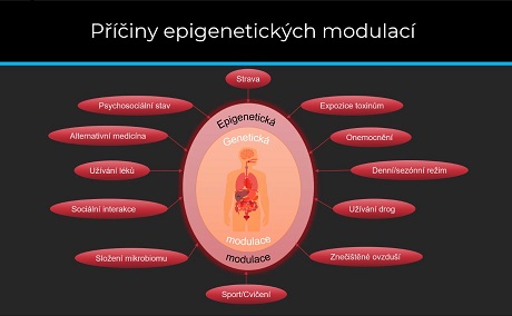 Epigenetické faktory