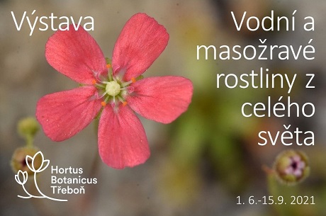 Výstava „Vodní a masožravé rostliny z celého světa“