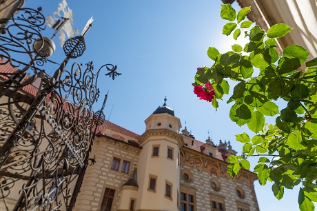 Průhonice se pyšní bohatou sbírkou růží