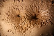 Michal Filippi, Geologický ústav AV ČR, Pohled věků