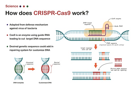 2022-01-05_CRISPER