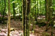 Během temných let komunismu spadalo území do přísně střeženého pásma, kam mohli jen prověření lidé. 