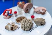 2022-06-02_Veletrh Vedy_Den 1_web-130