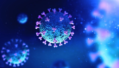 Vědci COVID-19 znají podstatně lépe než většinu jiných virů. Jeho dynamická evoluce ale odborníky stále dovede překvapit.  