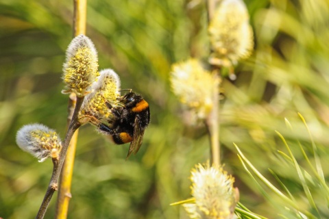 Časopis Science minulý rok vydal studii, podle které se toxicita syntetických pesticidů pro bezobratlé živočichy a užitečný hmyz se od roku 2005 do dnešních dob zdvojnásobila.