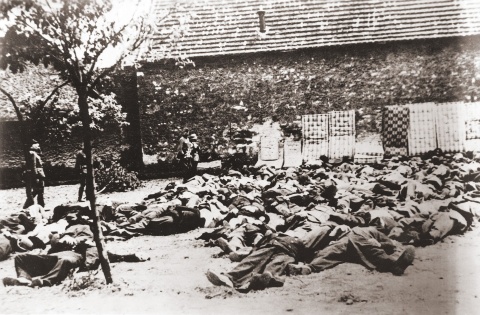 Ve vesnici Lidice nacisté popravili 199 mužů. Každého zastřelili dvěma ranami do prsou a jednou do hlavy.