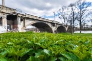 Od sila je to jen pár set metrů k Libeňskému mostu. Betonový monument postavený ve dvacátých letech minulého století ve stylu avantgardního funkcionalismu (případně kubismu) čekající na rekonstrukci je branou do vnitřní periferie Rohanského ostrova.