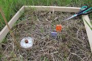 Experimentální ploška po odběru rostlinné biomasy. V plošce se měří i dostupnost živin pomocí půdních sond.