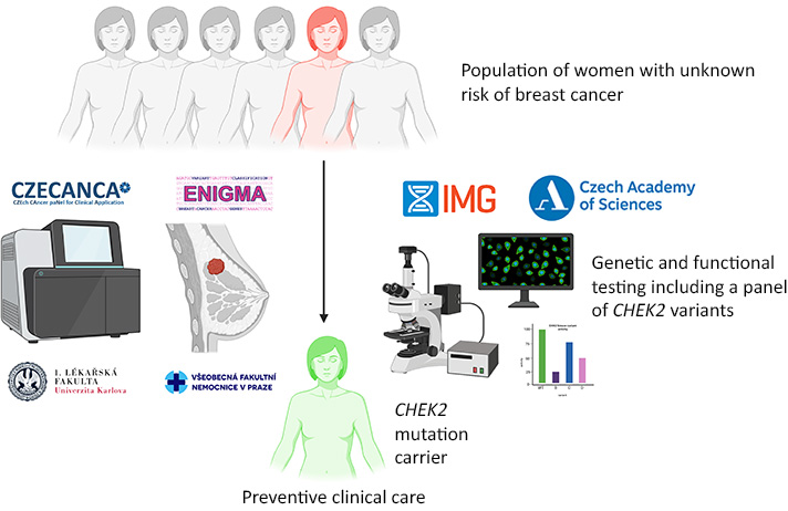 CHEK2-gene-breast-cancer