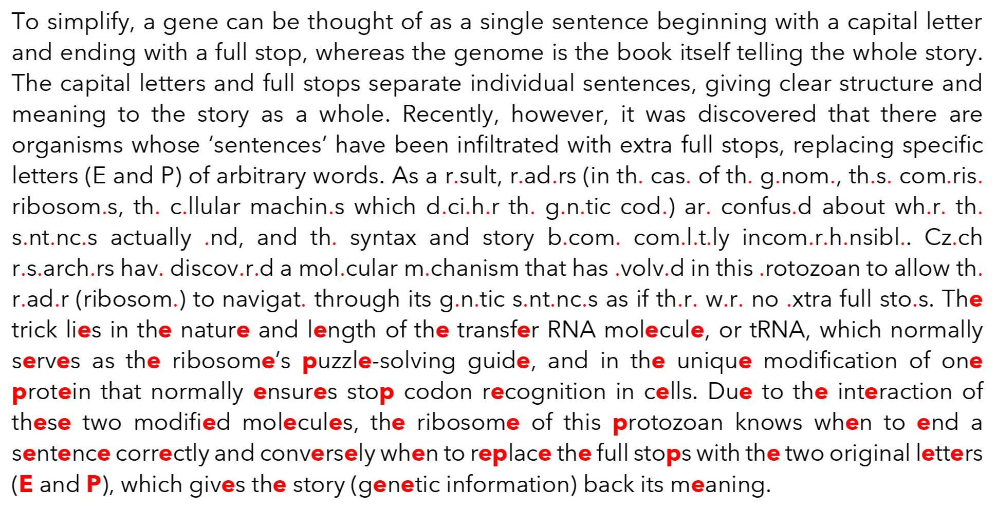 Blastocrithidia nonstop parasite DNA analogy