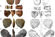 Stone tools from the oldest cultural layer VII at the Korolevo I site. Source: Nature, author Vitaly Usyk.