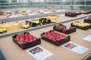 If a new variety’s traits match current requirements and trends as closely as possible, or the variety has some added value, it then has the potential to succeed regionally or even globally.