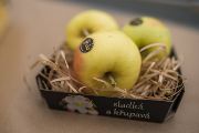 Collaboration between breeders in Střížovice and global apple market traders has led to unusual success. The fame of the Opal® variety has transcended not only our country’s borders, but even our planet’s, too. In 2015, apples bred in Střížovice found their way to the International Space Station (ISS).