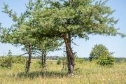 2020-07-14_Milovice_Miloslav Jirku_web-15