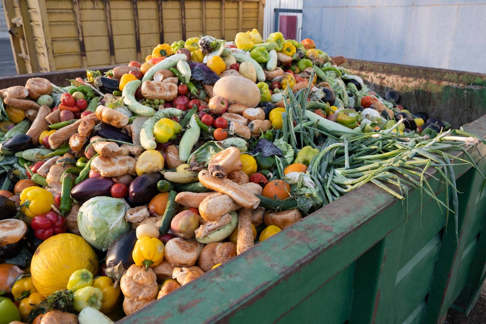 Organic food waste in a dumpster.