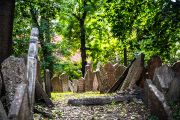 We invite you to take a virtual walk through Prague’s Jewish cemeteries. We’ll be taking you on this journey with photographs taken during the colloquium of the European Jewish Cemeteries Initiative, the Institute of Art History of the CAS, and the Jewish Community of Prague, held in late September and early October 2024. Let the words of Leona Matušková and photos by Jana Plavec paint you a picture.