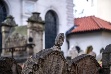 Naší první zastávkou je nejznámější a nejstarší dochované židovské pohřebiště v Praze, které se nachází na Starém Městě v Josefově. Pohřbívalo se na něm od první poloviny 15. století do roku 1787 a čítá přibližně 12 tisíc náhrobních kamenů.