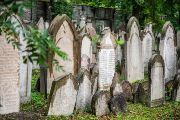 Správci Prahy tehdy rozhodli o zboření velké části obvodové zdi a zničení mnoha hrobů. Tři čtvrtiny hřbitova se přeměnily na veřejný park (Mahlerovy sady). Zbytek zkázy dokonala stavba žižkovského vysílače v osmdesátých letech. 