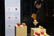 IMG_9182 upr