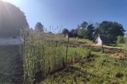 Obytné budovy ve dvorci tvoří nadzemnice – srubové, hliněnou mazanicí omazané domky. Jedná se o jednoprostorové stavby, které se liší velikostí a krytinou střechy.