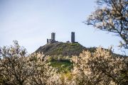 The field expeditions occurred in two phases. In early April 2024, we set out for the countryside around Házmburk Castle to monitor the condition and survival of the owls after winter. The second trip, in June 2024, focused on assessing nesting success.