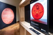2024-12-16_Výstava GAV_web-11