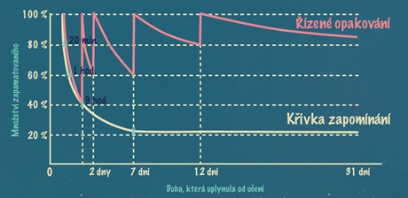 Ebbinghausova křivka a křivka učení