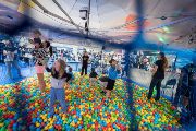 PAV_2684