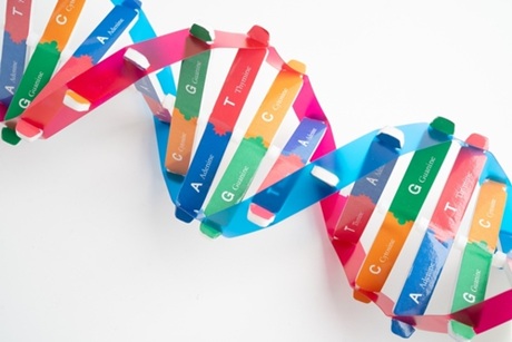 DNA