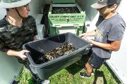 Apart from a few specimens reserved for laboratory analysis, the week’s catch was taken by staff from the Zlín Zoo in Lešná – as a healthy snack for their otters.