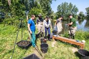 Výskyt invazní rybky je potřeba monitorovat a regulovat. Na řešení spolupracují badatelé z Ústavu biologie obratlovců AV ČR s rybářskými podniky a svazy. Snaží se například vylepšit odlovné techniky tohoto nechtěného amerického návštěvníka.