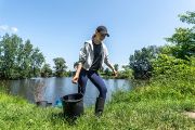 V den, kdy jsme Medkovy rybníky navštívili s fotoaparátem, odlovili pracovníci za pomoci studentů více než 35 kilogramů ryb. Za celý týden (od pondělí do pátku) pak celkem čtvrt tuny.
