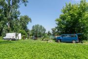 Badatelé stavy sumečka černého monitorují, provádějí odlov a zároveň se snaží navrhnout co nejúčinnější metody a zásady regulace.