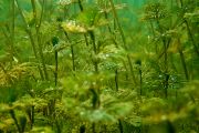 IMG-20250911-WA0001