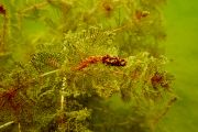 IMG-20250911-WA0002