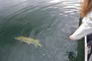 IMG-20250911-WA0006