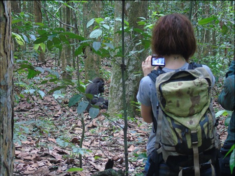 Ve Středoafrické republice