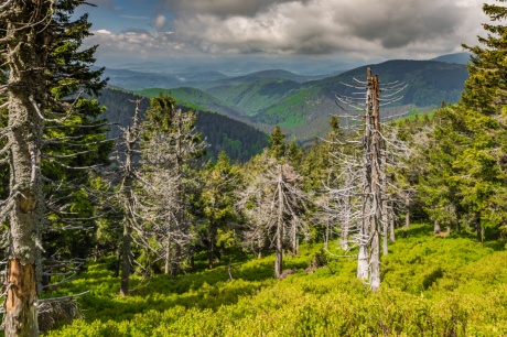 2022-05-26_Jeseniky_Radim Hedl_Petr Szabo_web-15