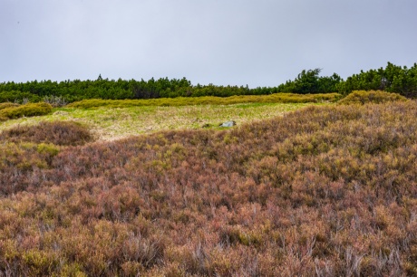 2022-05-26_Jeseniky_Radim Hedl_Petr Szabo_web-49